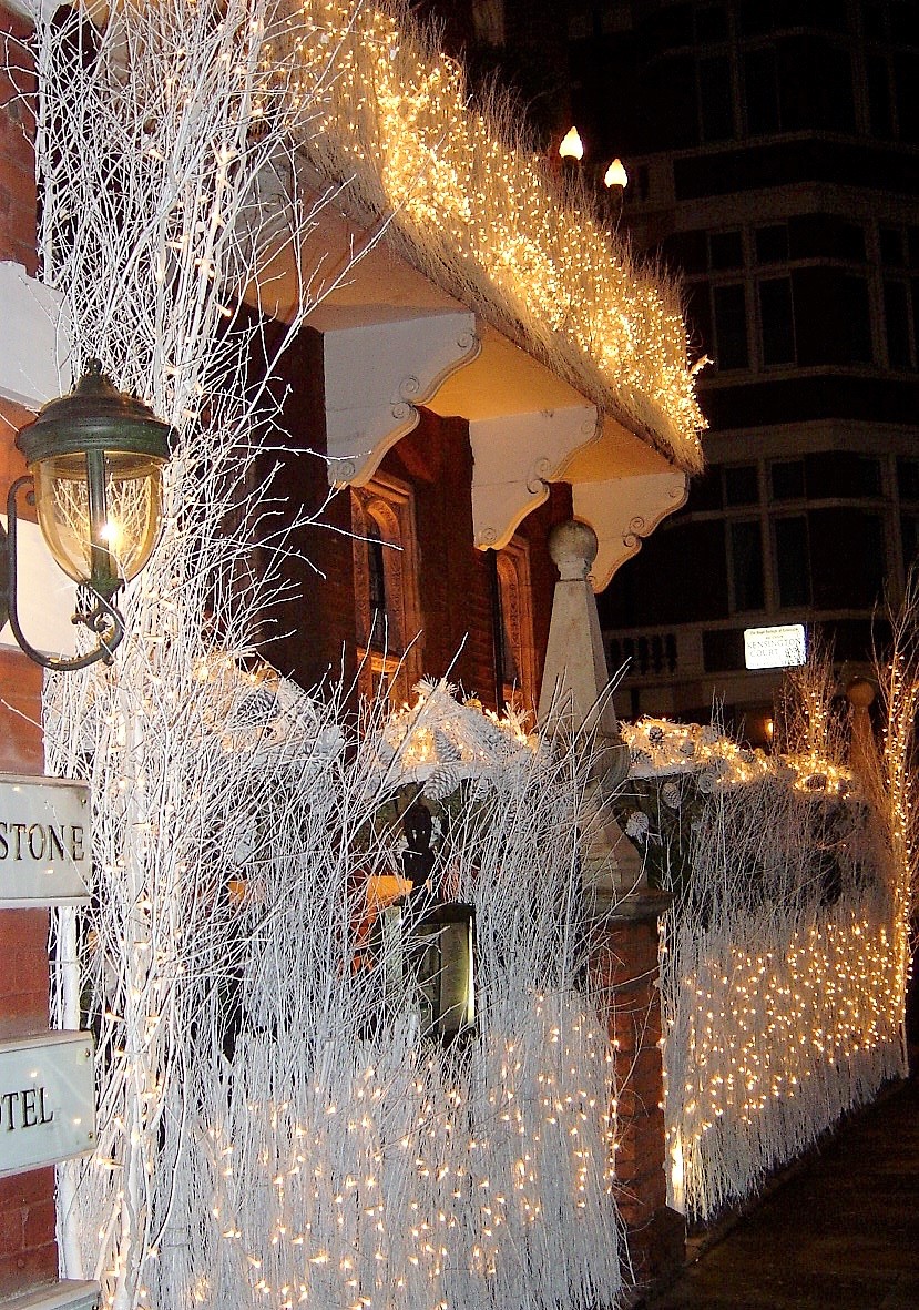 Christmas flower display with warm decorative lighting