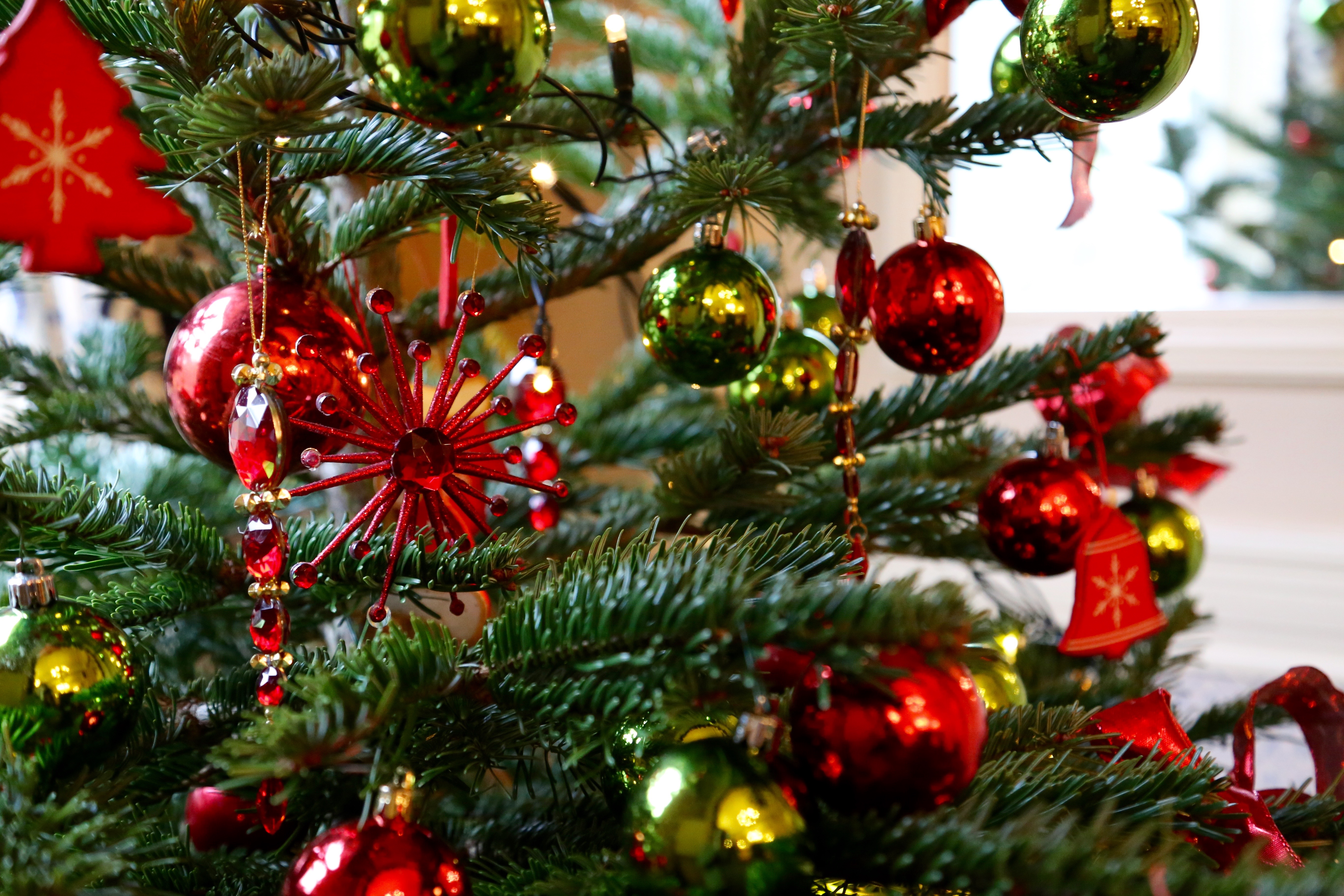 Christmas flowers and greenery for a seasonal interior