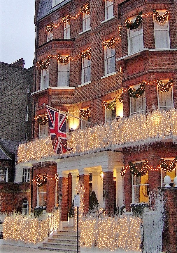 Christmas flower display with red and green seasonal colour