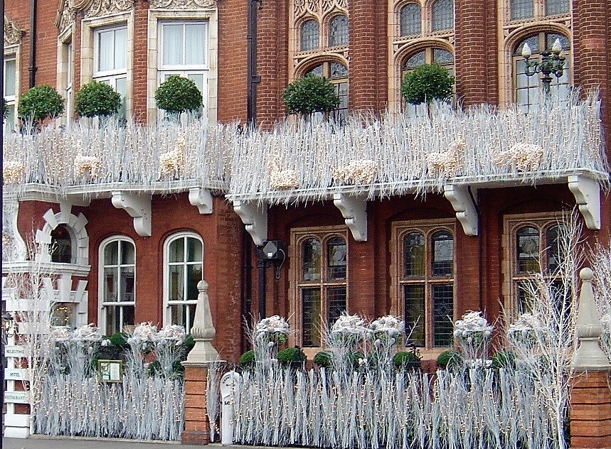 Christmas flowers arranged for a seasonal interior detail