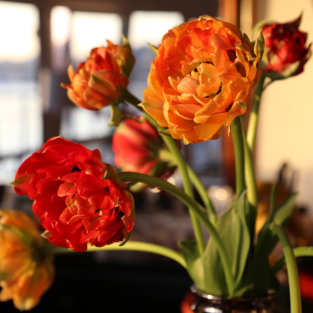Square floral display from the Pascal Lavorel homepage