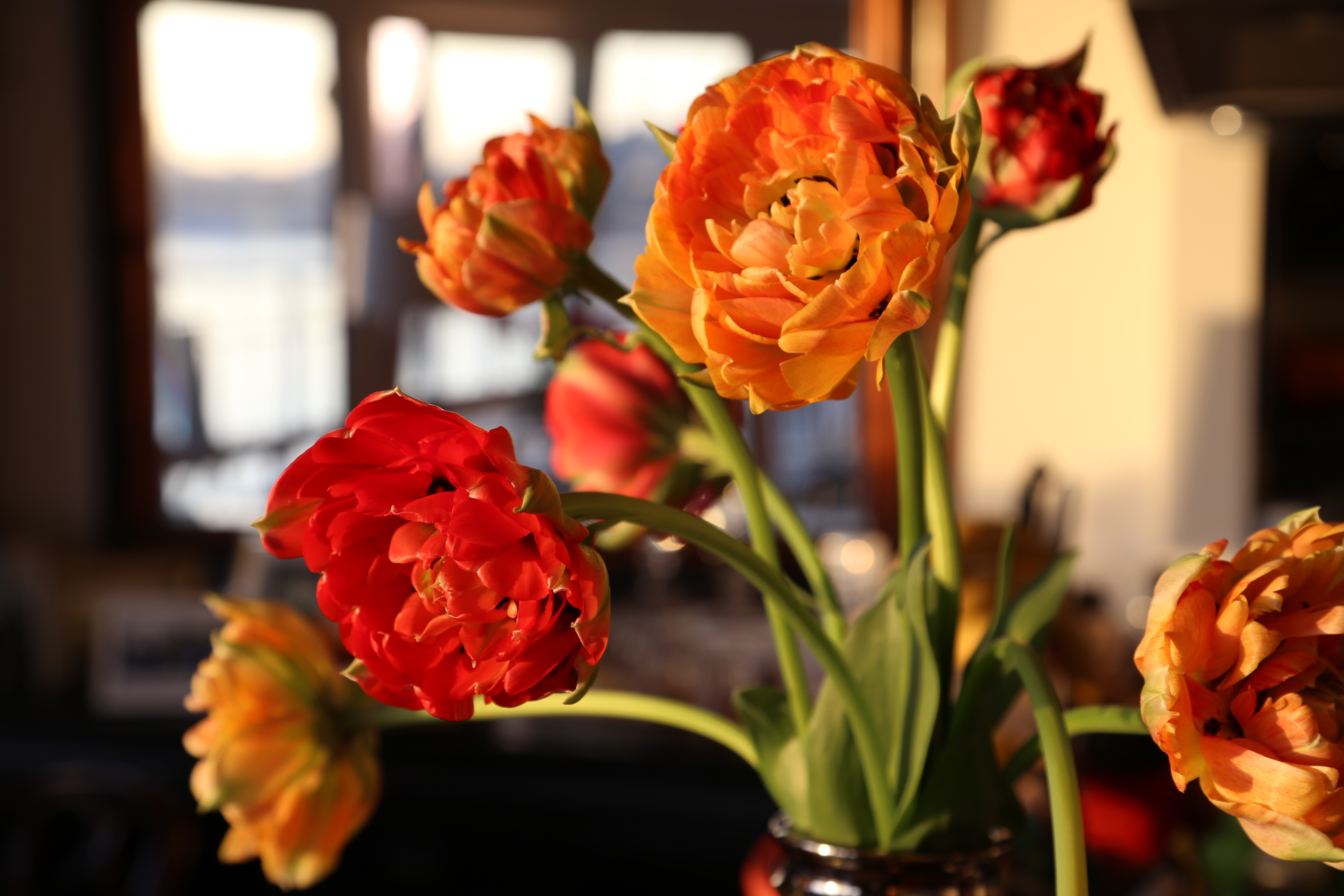 Indoor flowers arranged with elegant white blooms and foliage