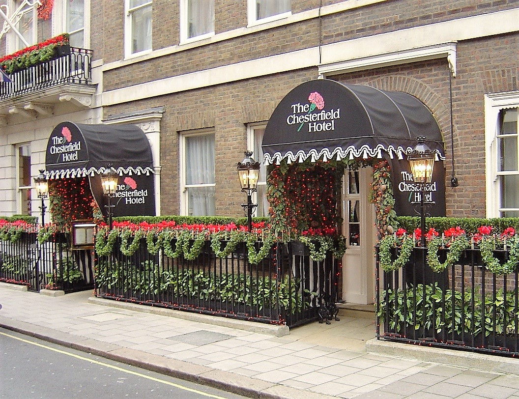Outdoor flowers and plants in a London setting