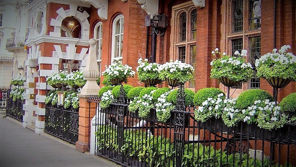 Outdoor floral planting along a building facade