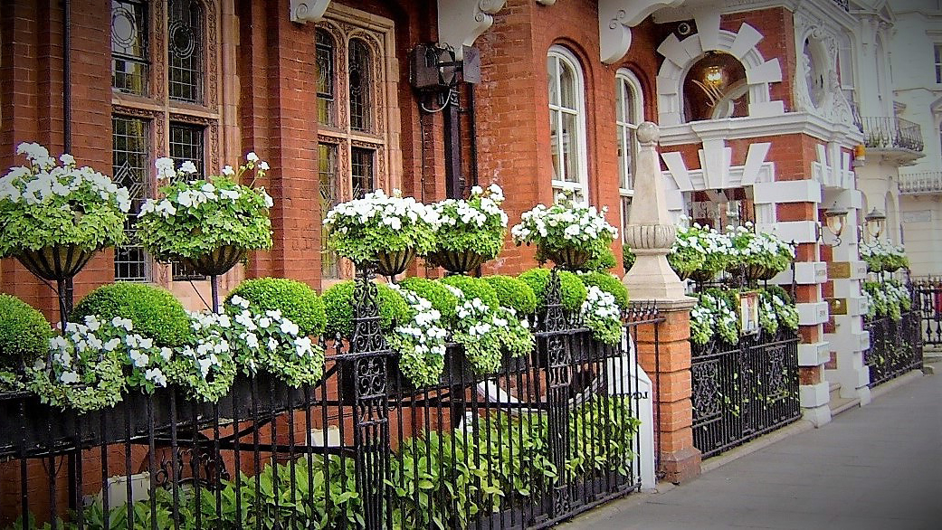 Wide outdoor floral planting display with greenery