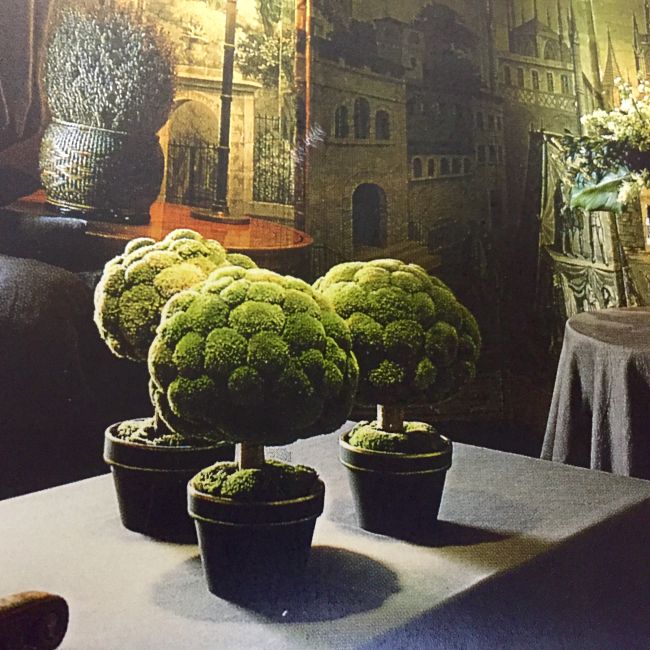 Preserved green topiary-style floral display in natural tones