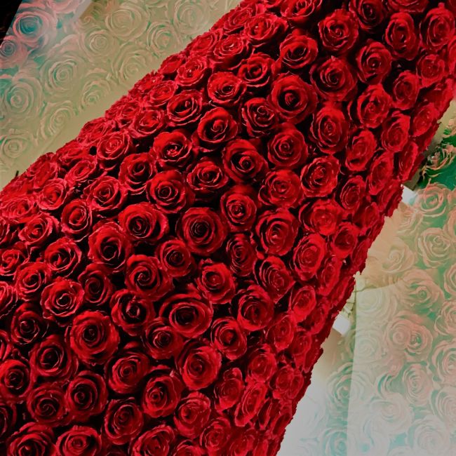 Preserved red roses arranged as a dramatic floral wall