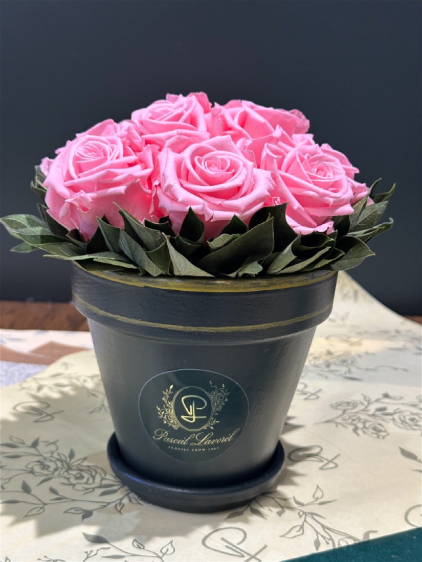 Preserved rose arrangement in soft pink tones
