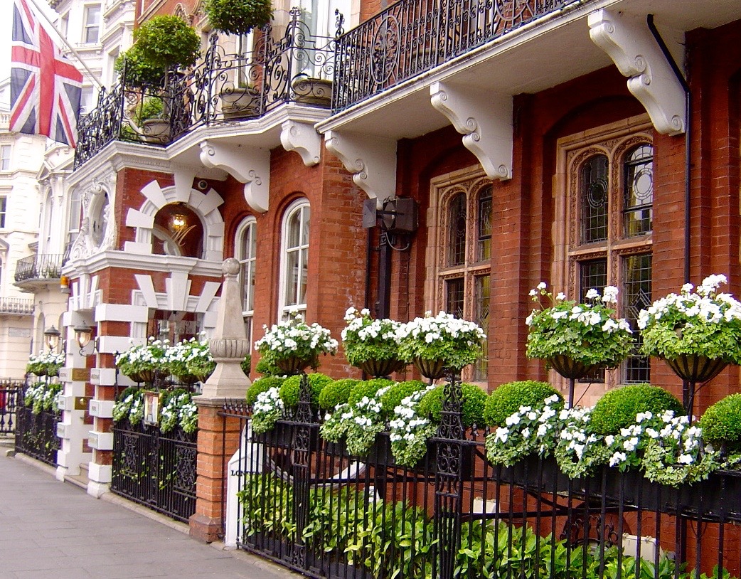 Red window-box flowers for an exterior display